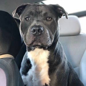 Meet your Posher, Nicole